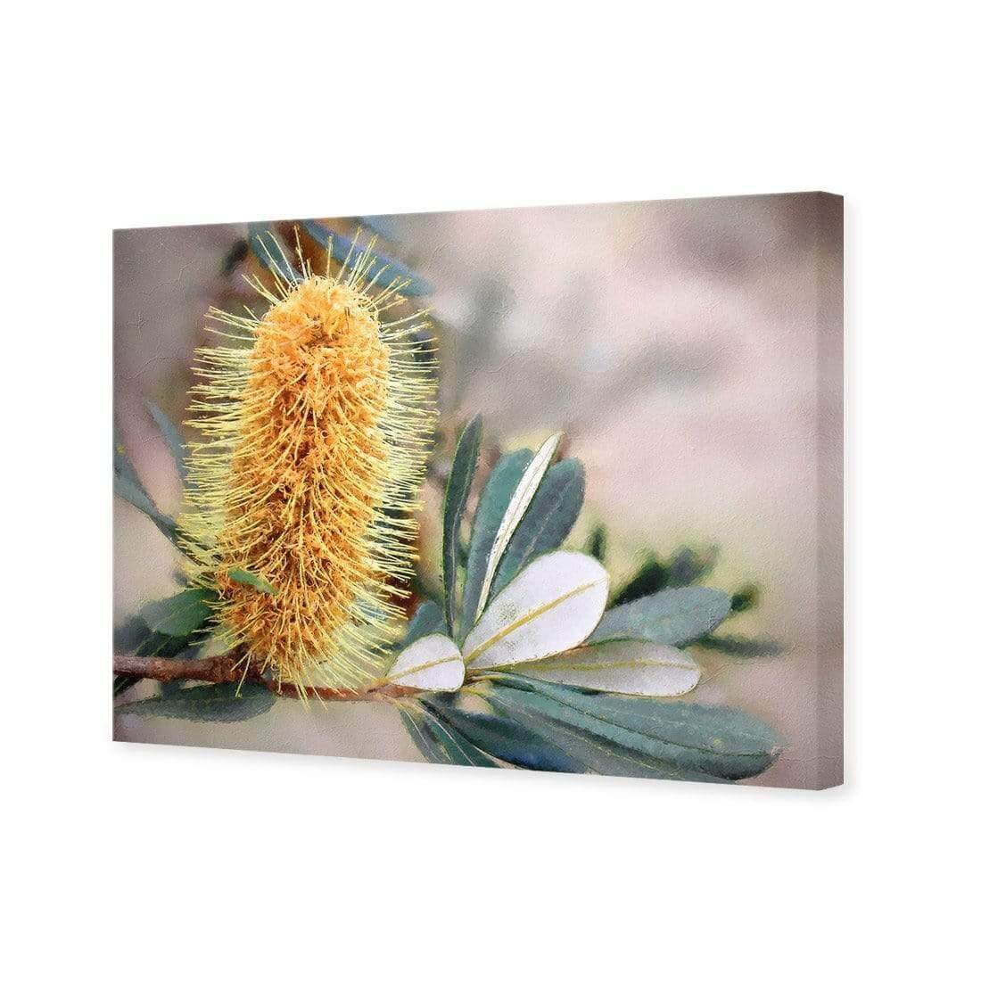 Banksia of Gold - Wall Art Designs - AU_1104_AR_H WAD_CP - MPY - 260 - M - S - S_45x30_NONE