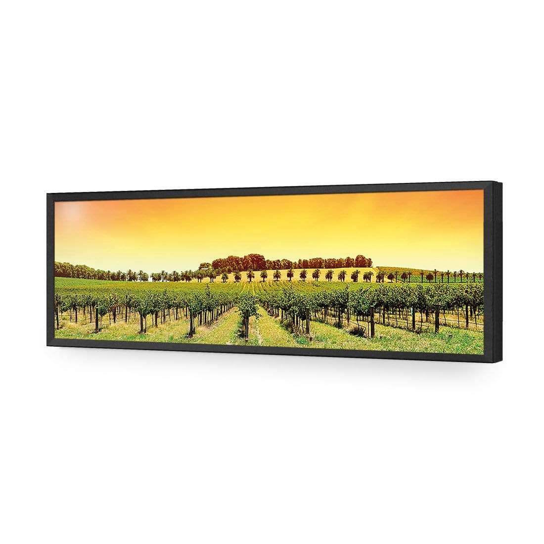 Barossa Vineyards (Long) - Wall Art Designs - 1217_AL_H WAD_AP - 030 - EDG_90x30_S - 2538 - BLK