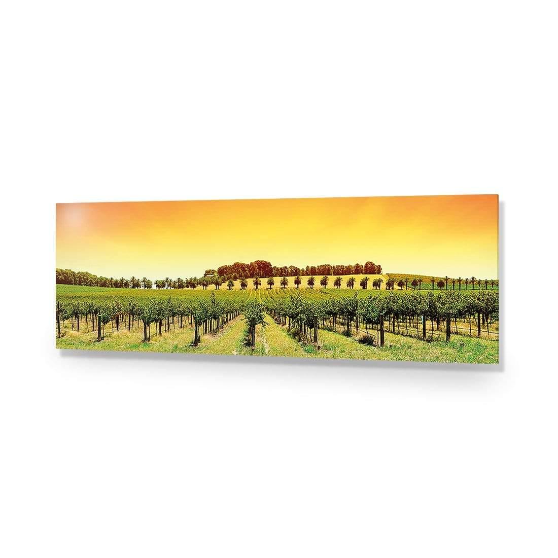 Barossa Vineyards (Long) - Wall Art Designs - 1217_AL_H WAD_AP - 030 - EDG_90x30_NONE