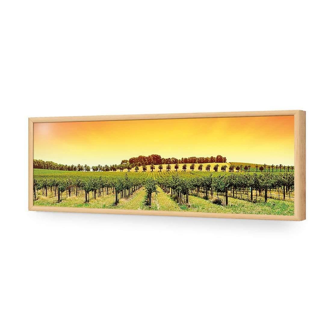 Barossa Vineyards (Long) - Wall Art Designs - 1217_AL_H WAD_AP - 030 - EDG_90x30_S - 2538 - OAK