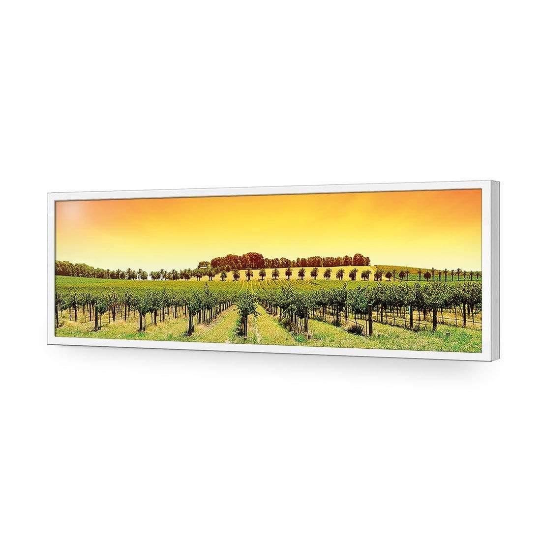 Barossa Vineyards (Long) - Wall Art Designs - 1217_AL_H WAD_AP - 030 - EDG_90x30_S - 2538 - WHT