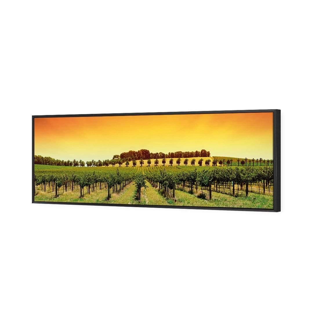 Barossa Vineyards (Long) - Wall Art Designs - 1217_AL_H WAD_CP - MPY - 260 - M - S - S_60x20_S - 1550 - BLK