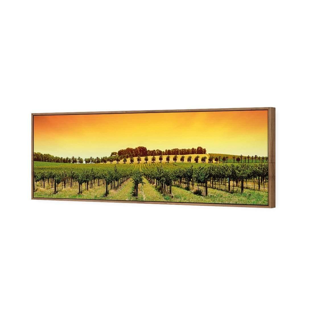 Barossa Vineyards (Long) - Wall Art Designs - 1217_AL_H WAD_CP - MPY - 260 - M - S - S_60x20_S - 1550 - NAT