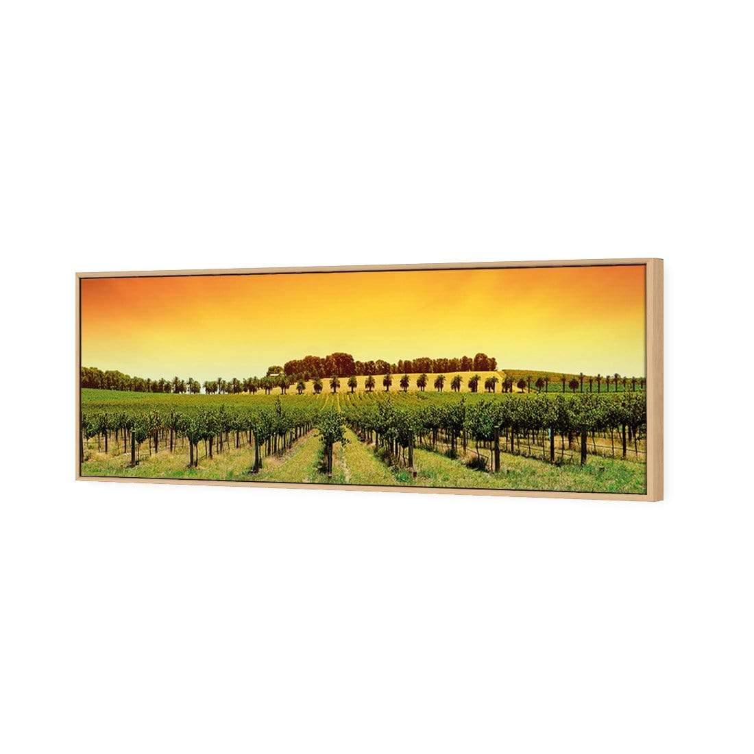 Barossa Vineyards (Long) - Wall Art Designs - 1217_AL_H WAD_CP - MPY - 260 - M - S - S_60x20_S - 1550 - OAK