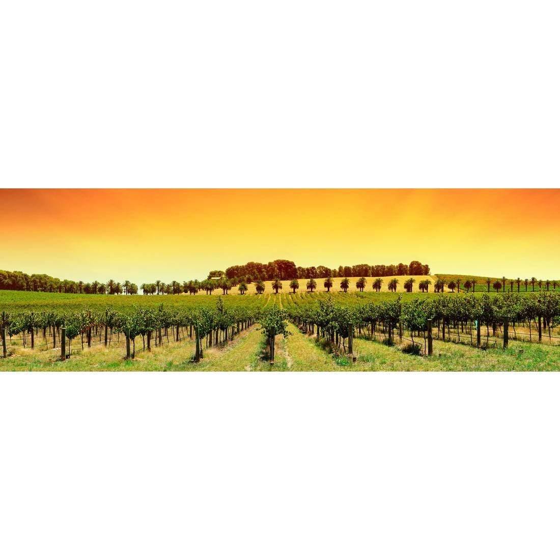 Barossa Vineyards (Long) - Wall Art Designs - 1217_AL_H WAD_CP - MPY - 260 - M - S - S_60x20_NONE