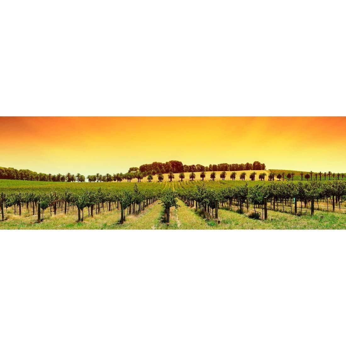 Barossa Vineyards (Long) – Wall Art Designs