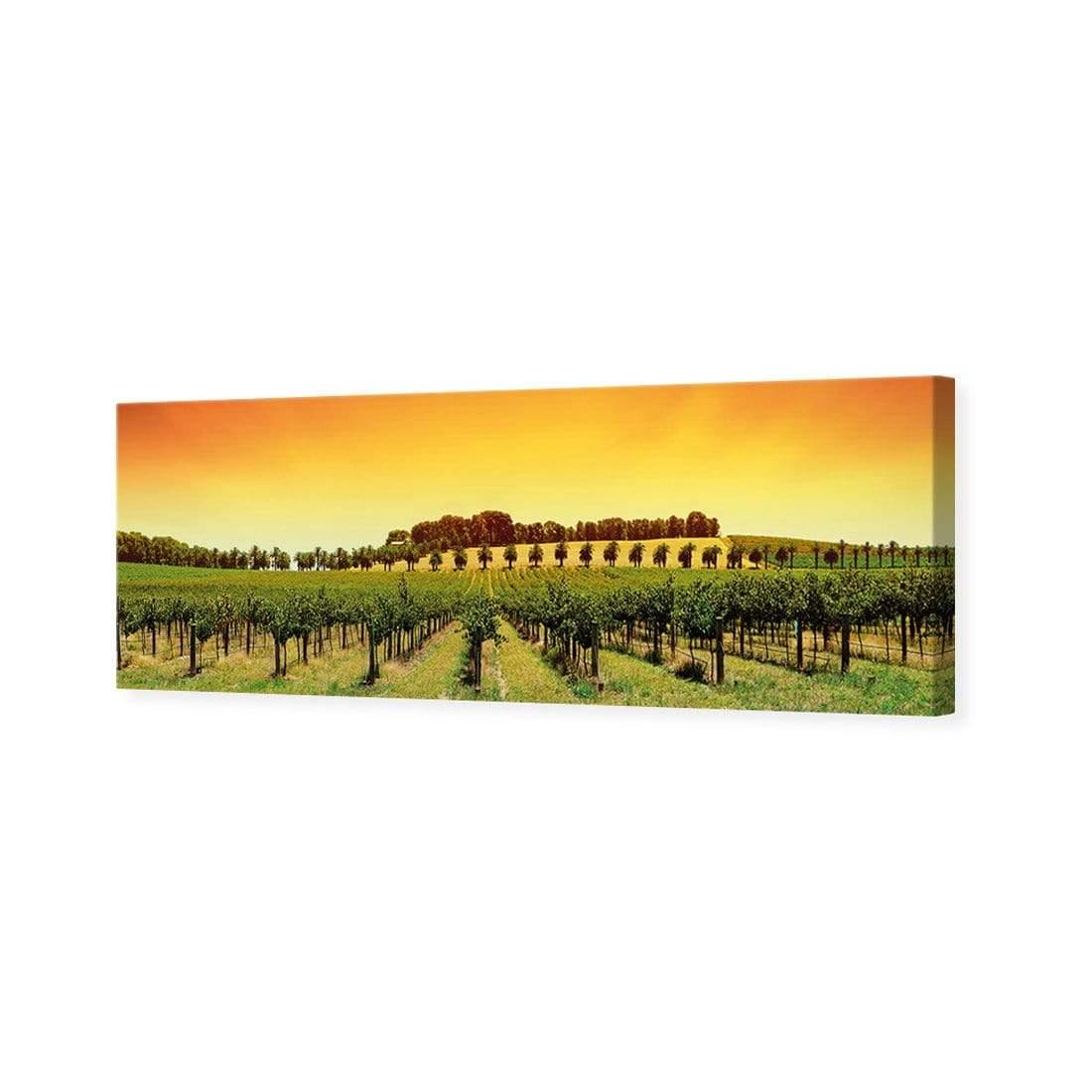 Barossa Vineyards (Long) - Wall Art Designs - 1217_AL_H WAD_CP - MPY - 260 - M - S - S_60x20_NONE