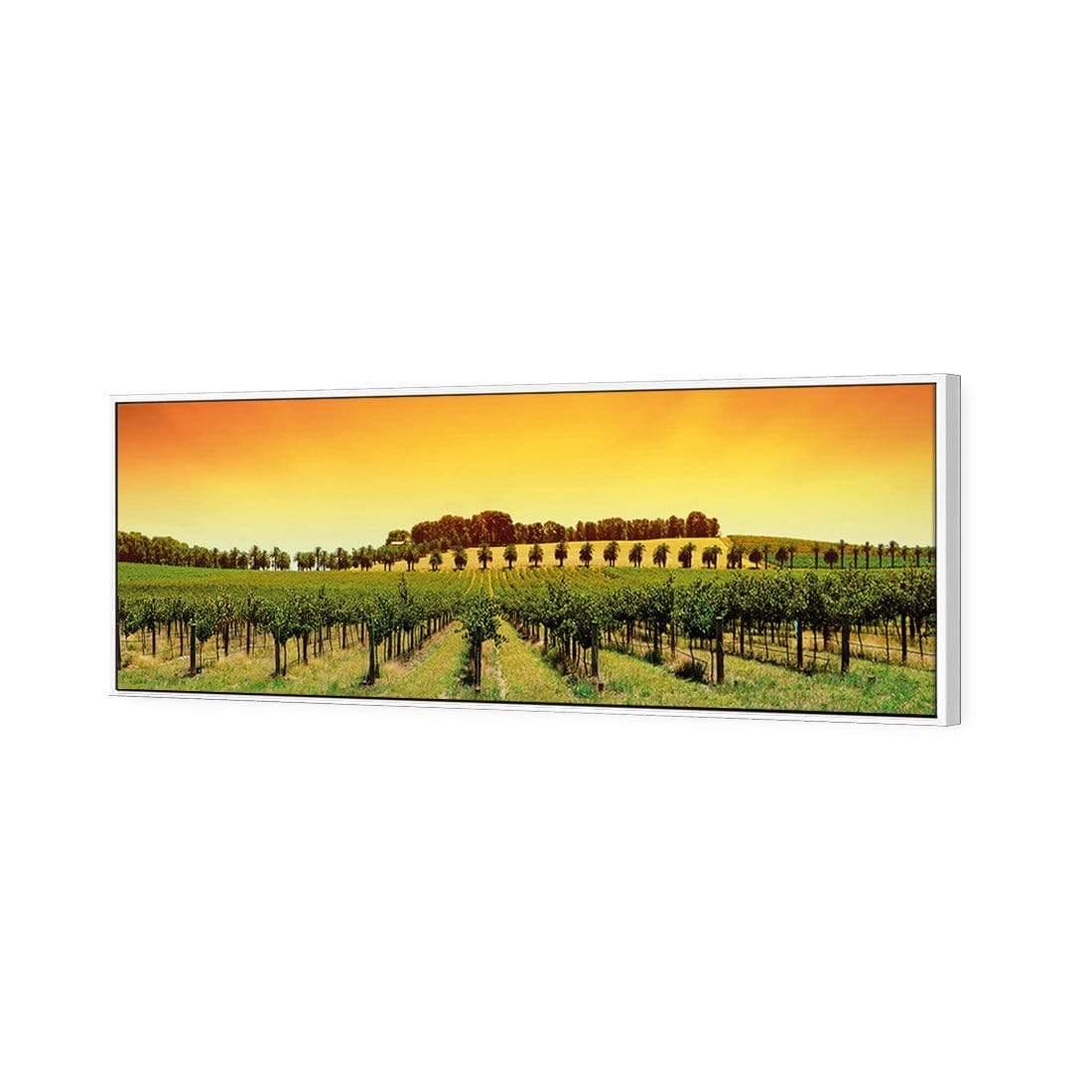 Barossa Vineyards (Long) - Wall Art Designs - 1217_AL_H WAD_CP - MPY - 260 - M - S - S_60x20_S - 1550 - WHT