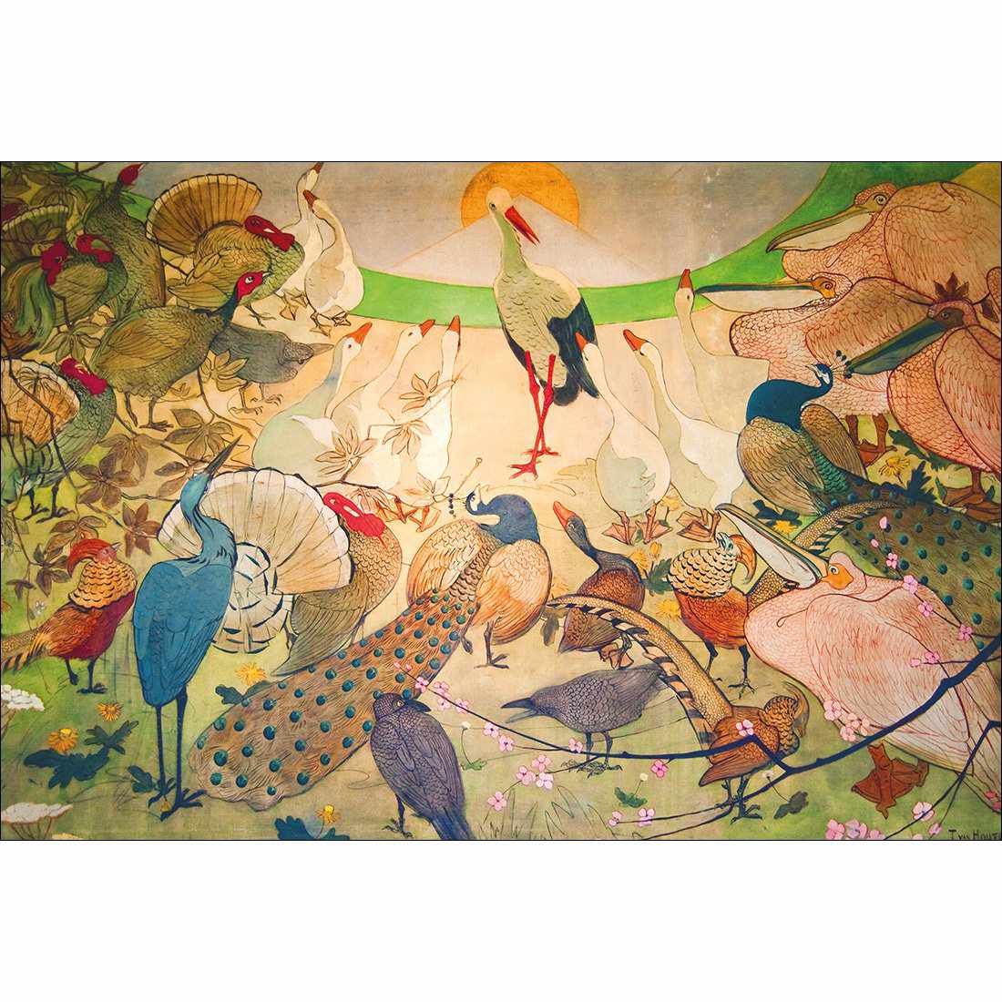 Birds