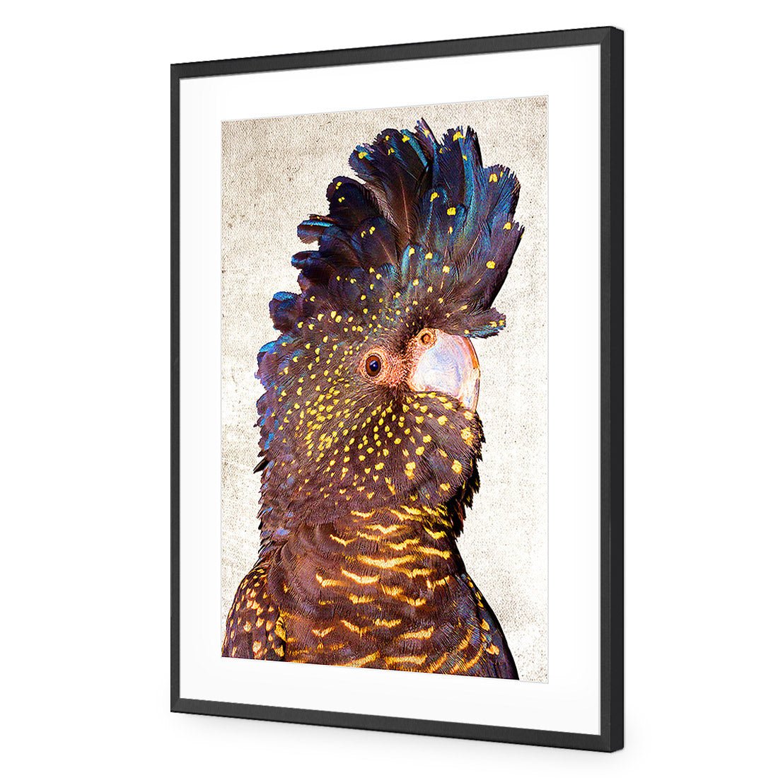 Black Cockatoo Front, Grunge Acrylic Glass Art - Wall Art Designs - 2774_AR_V WAD_AP - 030 - MAT_45x30_S - 2538 - BLK