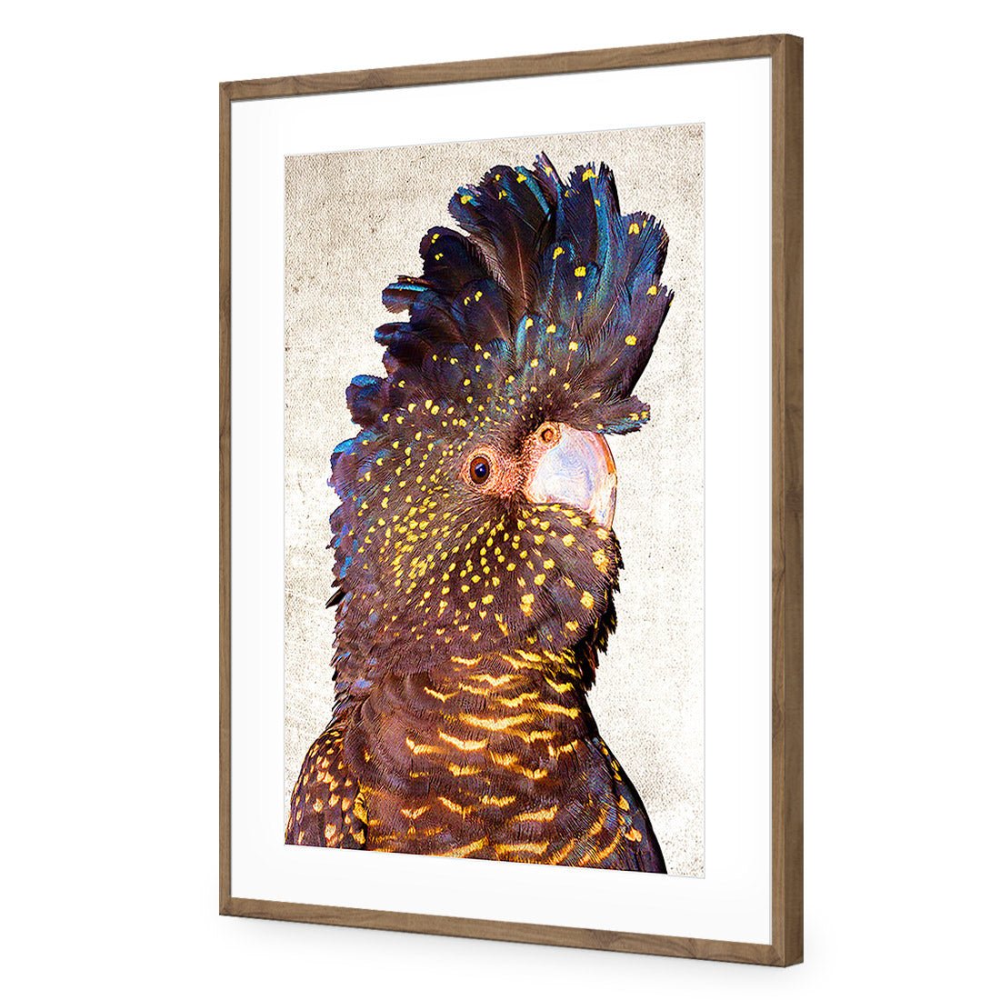 Black Cockatoo Front, Grunge Acrylic Glass Art - Wall Art Designs - 2774_AR_V WAD_AP - 030 - MAT_45x30_S - 2538 - NAT