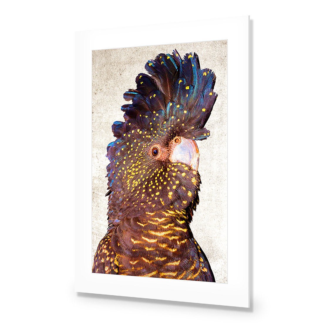 Black Cockatoo Front, Grunge Acrylic Glass Art - Wall Art Designs - 2774_AR_V WAD_AP - 030 - MAT_45x30_NONE