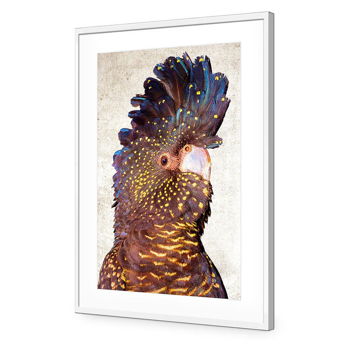 Black Cockatoo Front, Grunge Acrylic Glass Art - Wall Art Designs - 2774_AR_V WAD_AP - 030 - MAT_45x30_S - 2538 - WHT