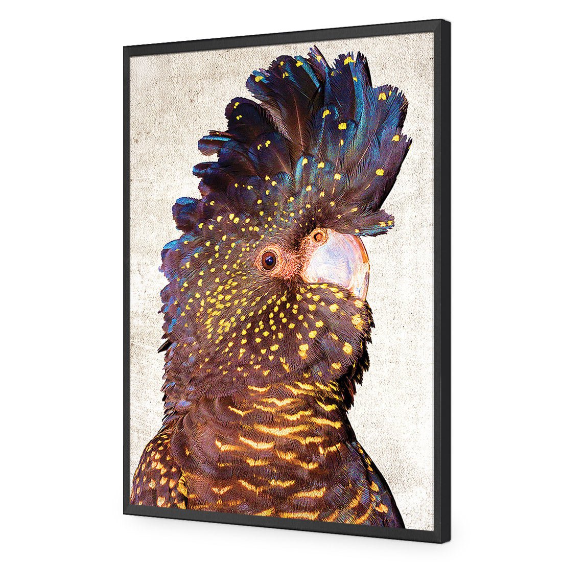 Black Cockatoo Front, Grunge Acrylic Glass Art - Wall Art Designs - 2774_AR_V WAD_AP - 030 - EDG_45x30_S - 2538 - BLK