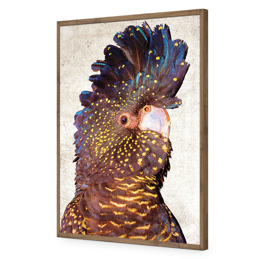 Black Cockatoo Front, Grunge Acrylic Glass Art - Wall Art Designs - 2774_AR_V WAD_AP - 030 - EDG_45x30_S - 2538 - NAT