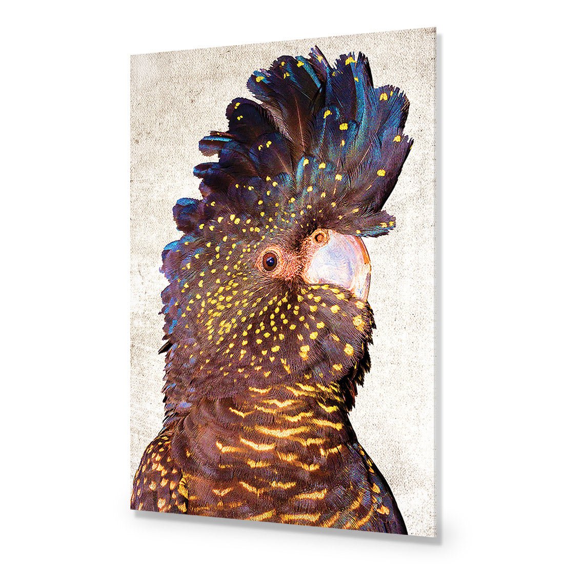 Black Cockatoo Front, Grunge Acrylic Glass Art - Wall Art Designs - 2774_AR_V WAD_AP - 030 - EDG_45x30_NONE