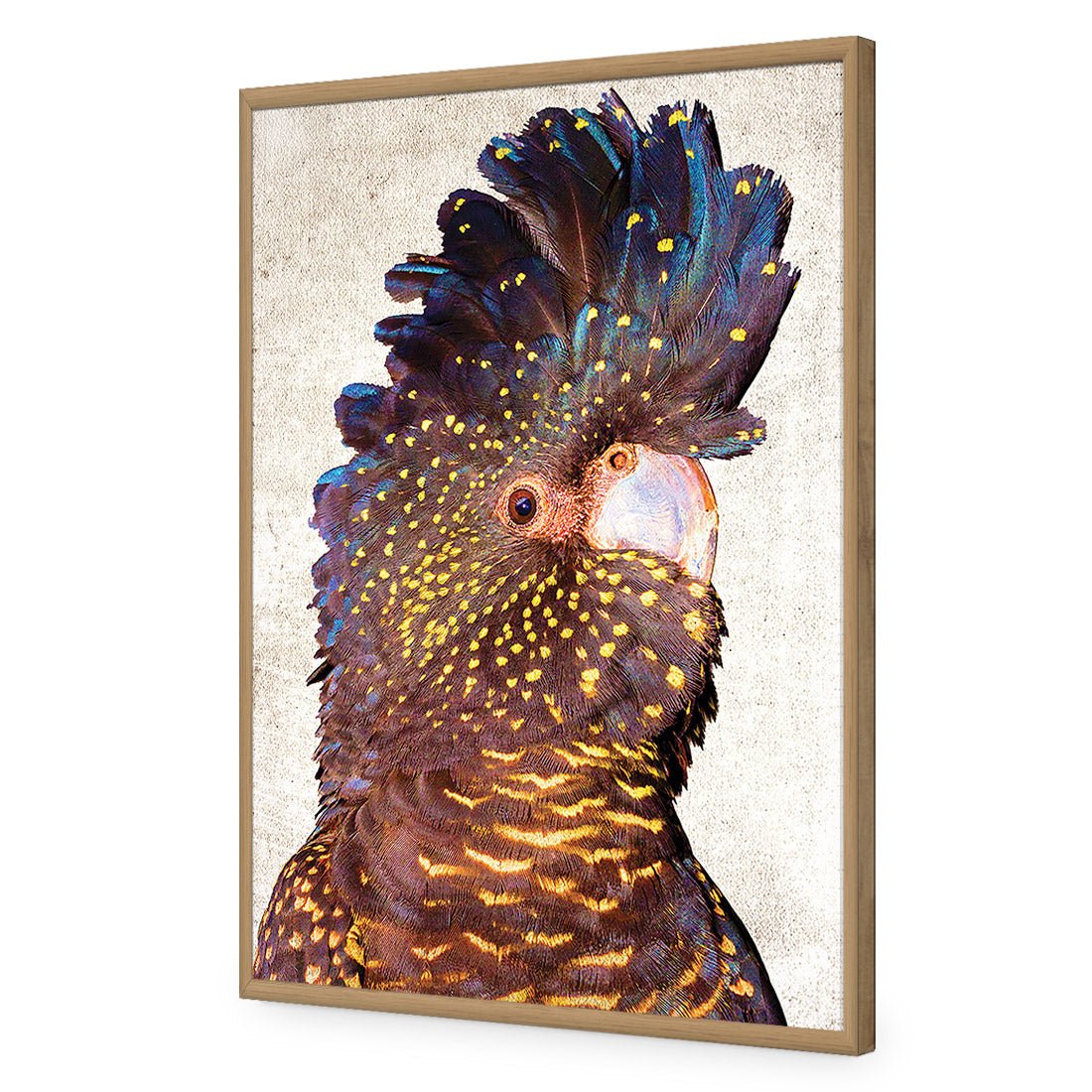 Black Cockatoo Front, Grunge Acrylic Glass Art - Wall Art Designs - 2774_AR_V WAD_AP - 030 - EDG_45x30_S - 2538 - OAK