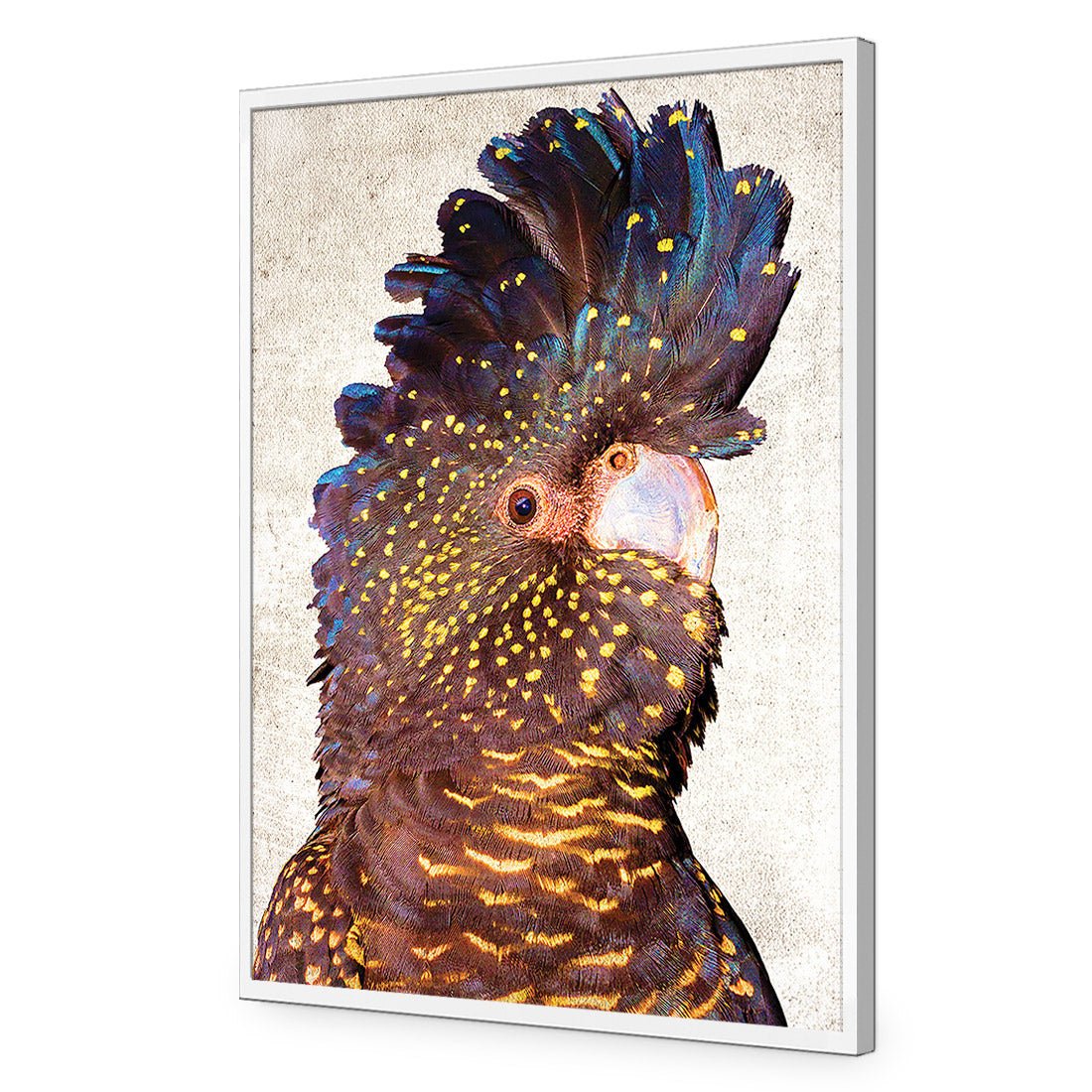 Black Cockatoo Front, Grunge Acrylic Glass Art - Wall Art Designs - 2774_AR_V WAD_AP - 030 - EDG_45x30_S - 2538 - WHT