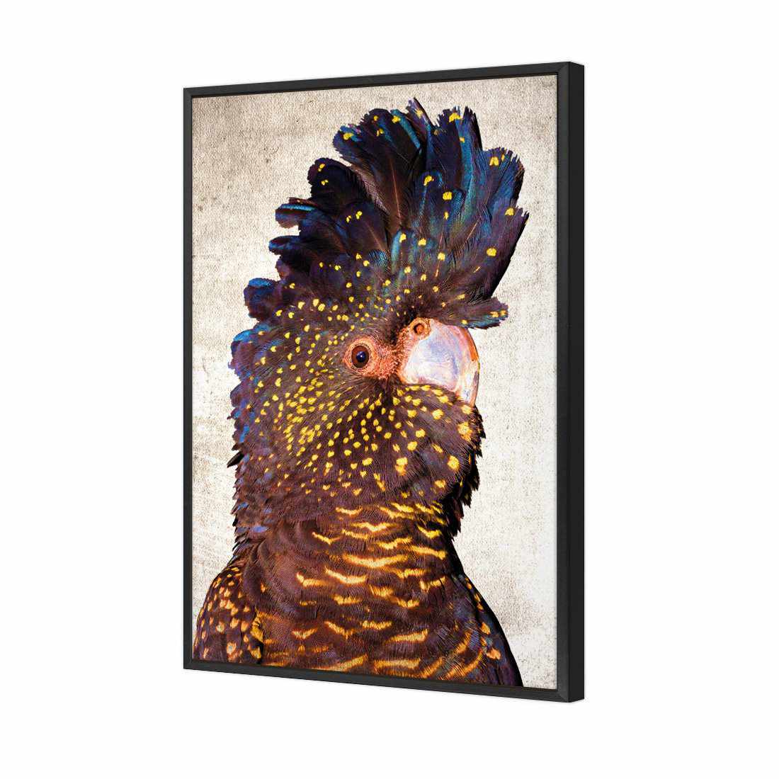 Black Cockatoo Front, Grunge Canvas Art - Wall Art Designs - 2774_AR_V WAD_CP - MPY - 260 - M - S - S_45x30_S - 1550 - BLK