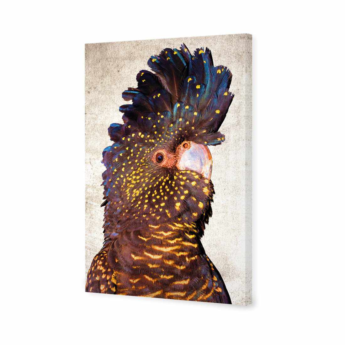 Black Cockatoo Front, Grunge Canvas Art - Wall Art Designs - 2774_AR_V WAD_CP - MPY - 260 - M - S - S_45x30_NONE