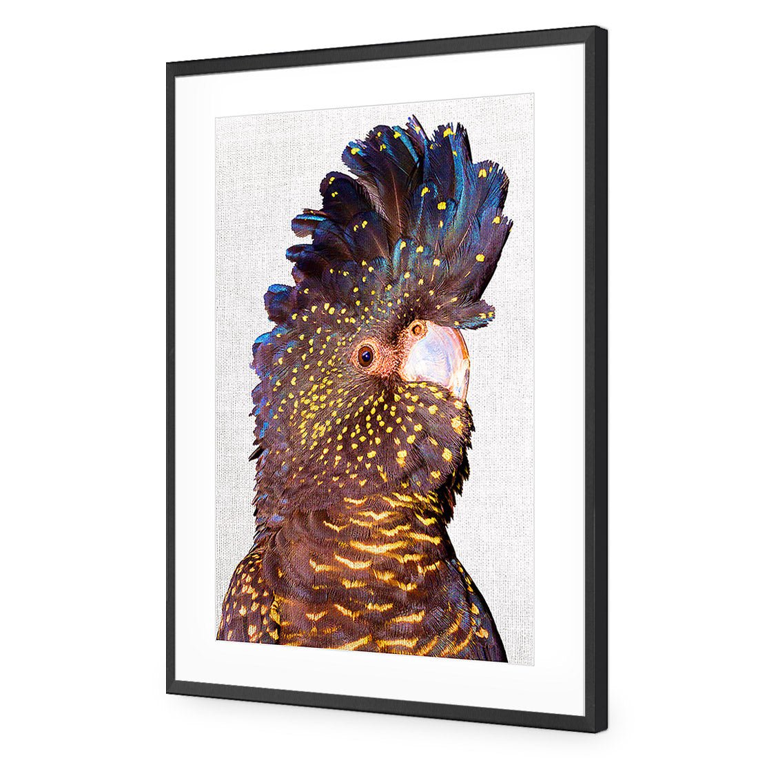 Black Cockatoo Front, Linen Acrylic Glass Art - Wall Art Designs - 2774_ER_V WAD_AP - 030 - MAT_45x30_S - 2538 - BLK