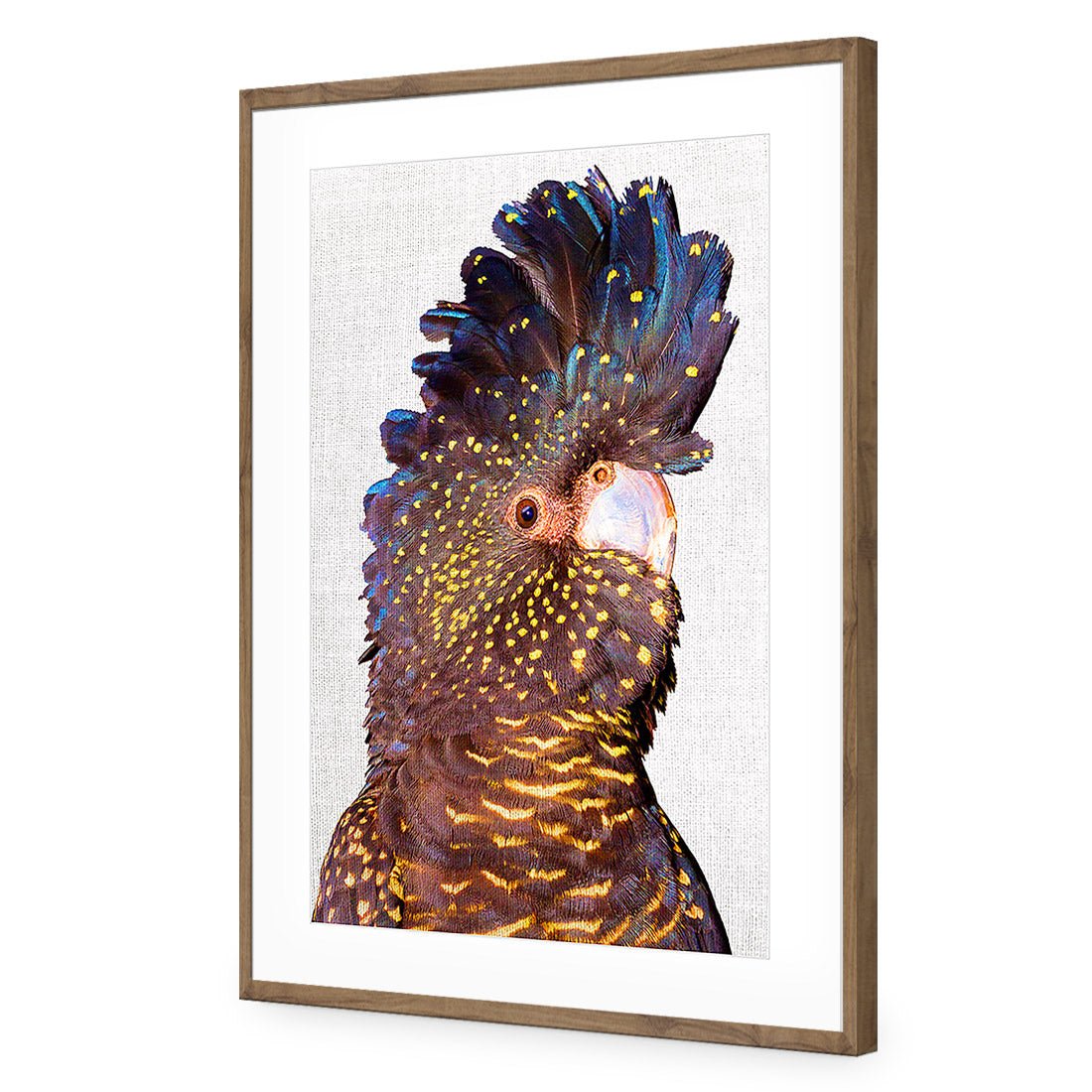 Black Cockatoo Front, Linen Acrylic Glass Art - Wall Art Designs - 2774_ER_V WAD_AP - 030 - MAT_45x30_S - 2538 - NAT