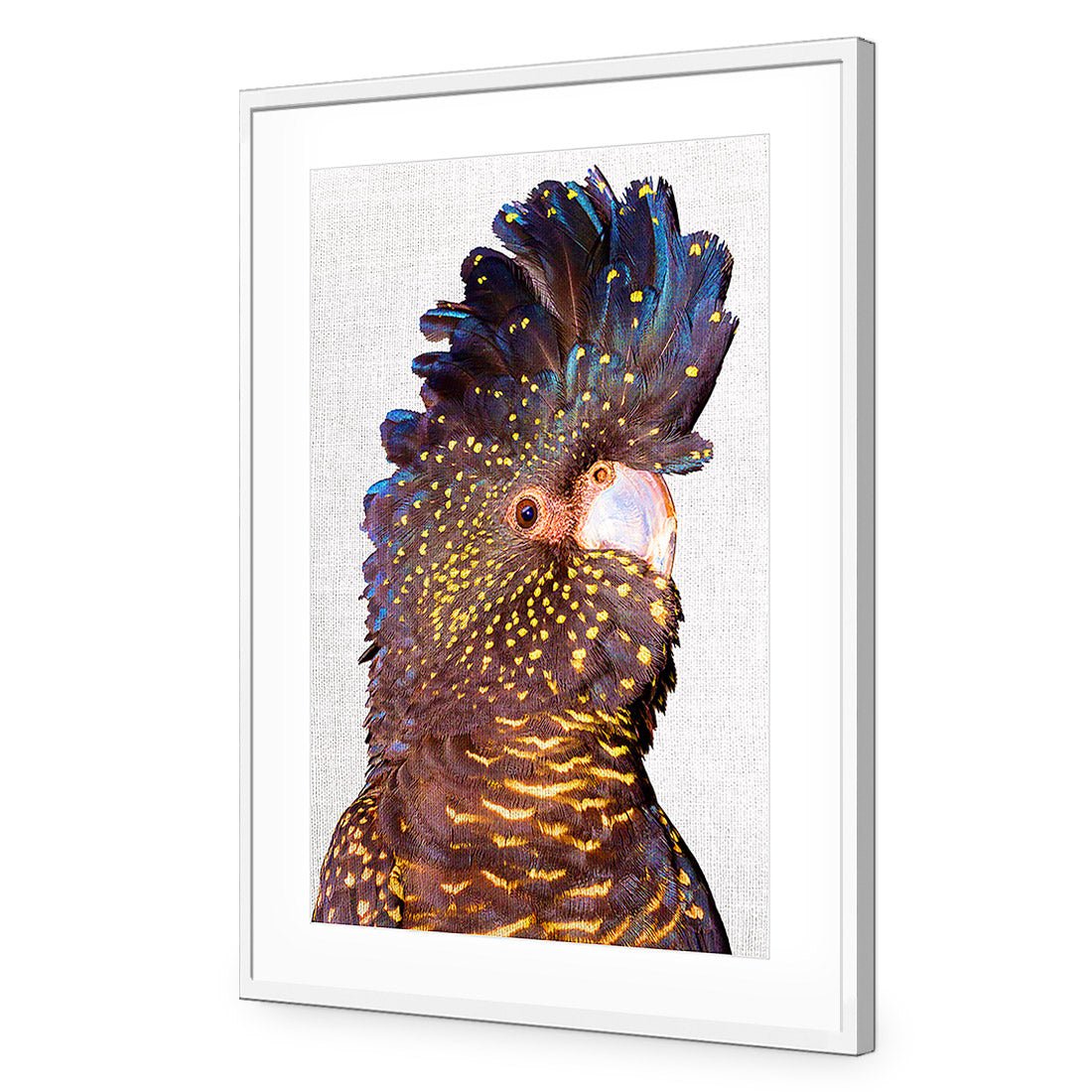 Black Cockatoo Front, Linen Acrylic Glass Art - Wall Art Designs - 2774_ER_V WAD_AP - 030 - MAT_45x30_S - 2538 - WHT