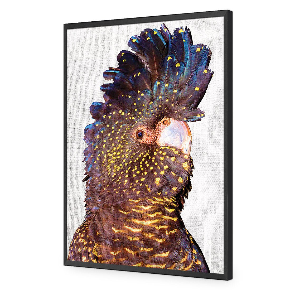 Black Cockatoo Front, Linen Acrylic Glass Art - Wall Art Designs - 2774_ER_V WAD_AP - 030 - EDG_45x30_S - 2538 - BLK