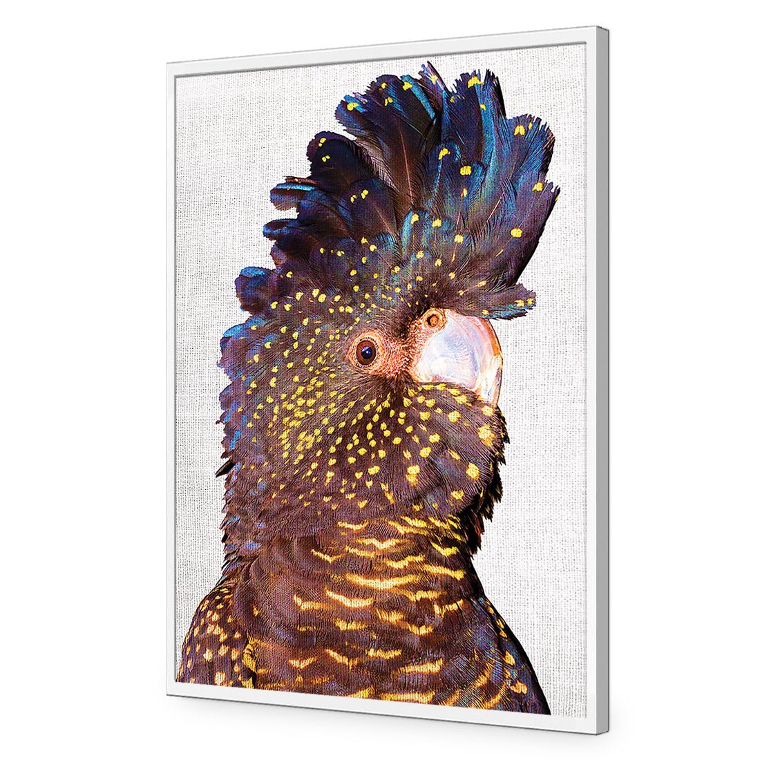 Black Cockatoo Front, Linen Acrylic Glass Art - Wall Art Designs - 2774_ER_V WAD_AP - 030 - EDG_45x30_S - 2538 - WHT