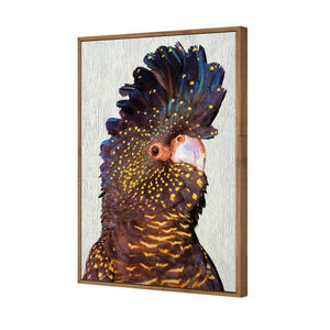 Black Cockatoo Front, Paper | Standard Canvas | Floating Frame | Natural