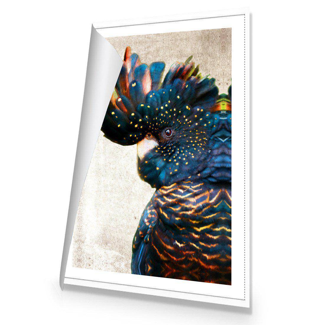 Black Cockatoo Side, Grunge Canvas Art - Wall Art Designs - 2698_DR_V WAD_CP - MPY - 260 - M - R_45x30_NONE