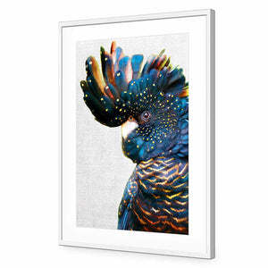 Black Cockatoo Side, Linen | Classic Acrylic | Flat Frame With Border | White