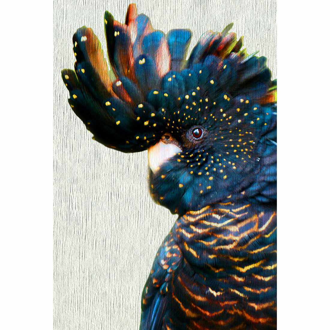 Black Cockatoo Side, Paper Acrylic Glass Art - Wall Art Designs - 2698_ER_V WAD_AP - 030 - MAT_45x30_NONE