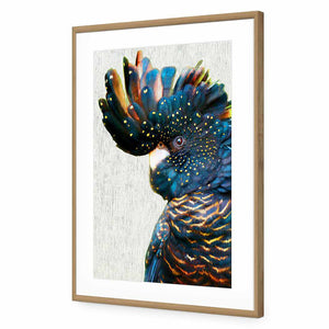 Black Cockatoo Side, Paper | Standard Acrylic | Flat Frame With Border | Oak