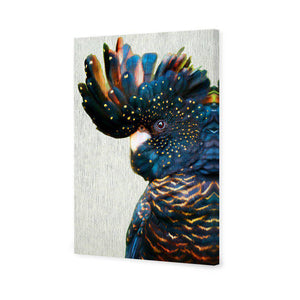 Black Cockatoo Side, Paper | Standard Canvas | No Frame | Stretched Canvas