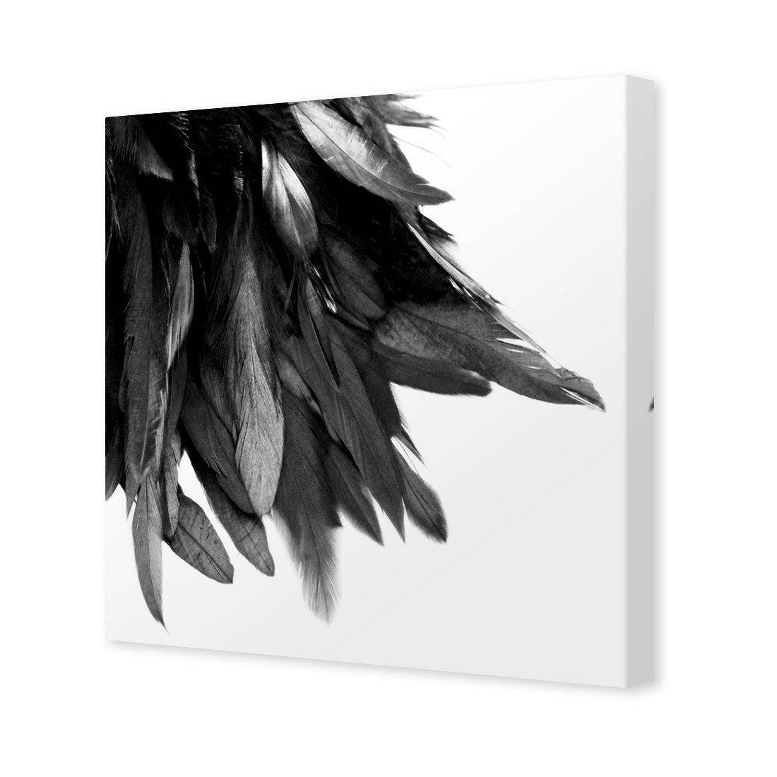 Black Feather Tail, B&W | Standard Canvas | No Frame | Stretched Canvas