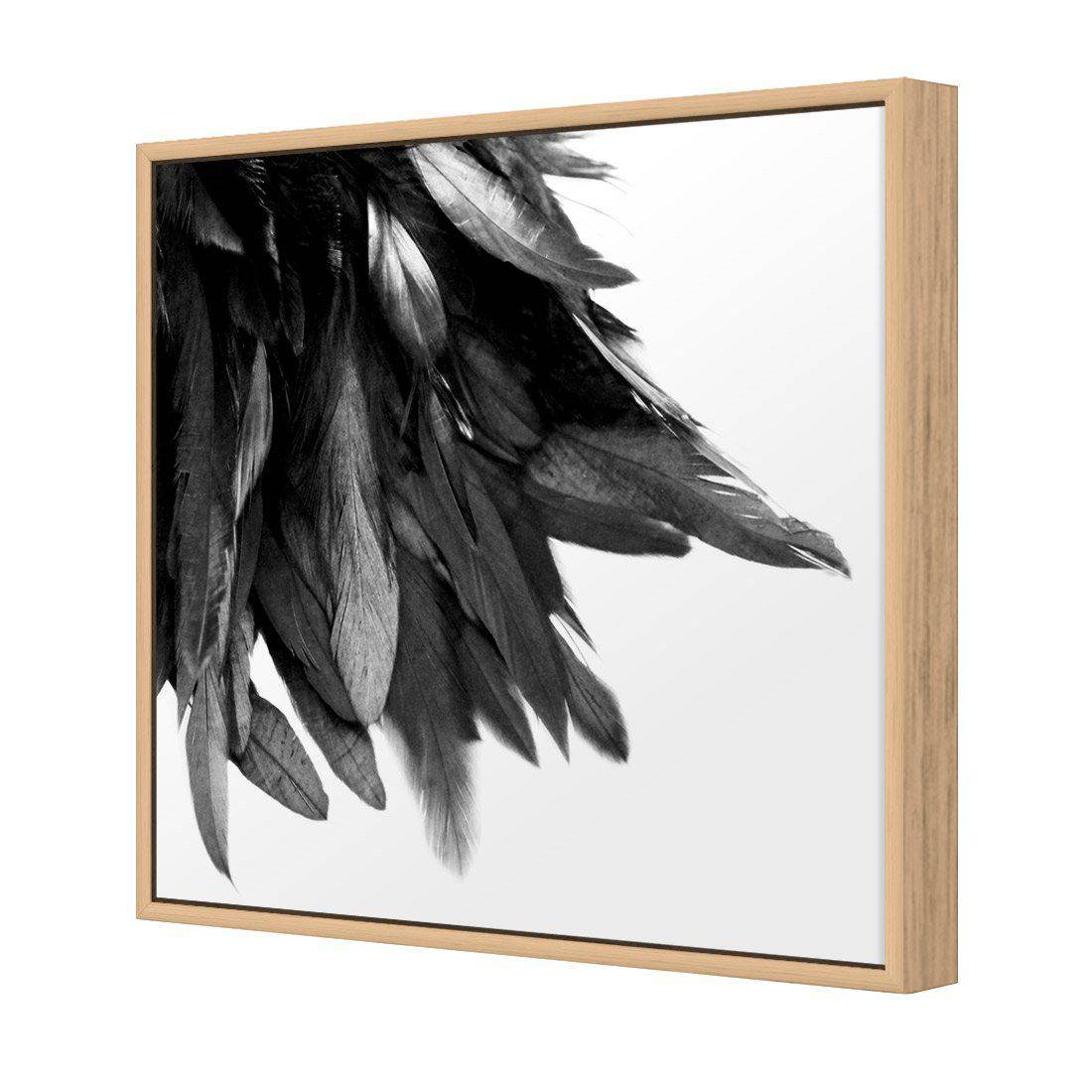 Black Feather Tail, B&W Canvas Art - Wall Art Designs - 3278_BS_Q WAD_CP - MPY - 260 - M - S - S_30x30_S - 1550 - OAK