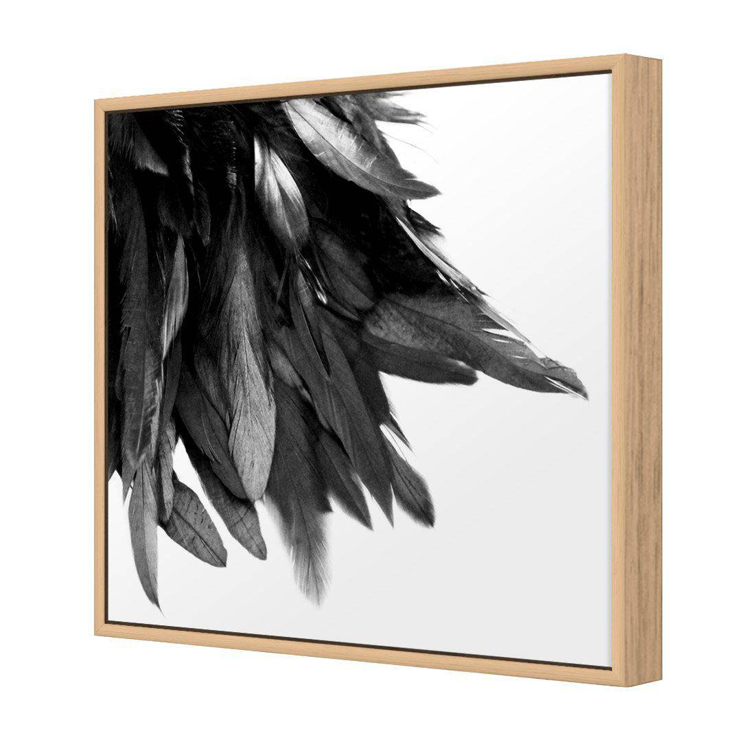 Black Feather Tail, B&W | Standard Canvas | Floating Frame | Oak