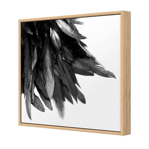 Black Feather Tail, B&W | Standard Canvas | Floating Frame | Oak