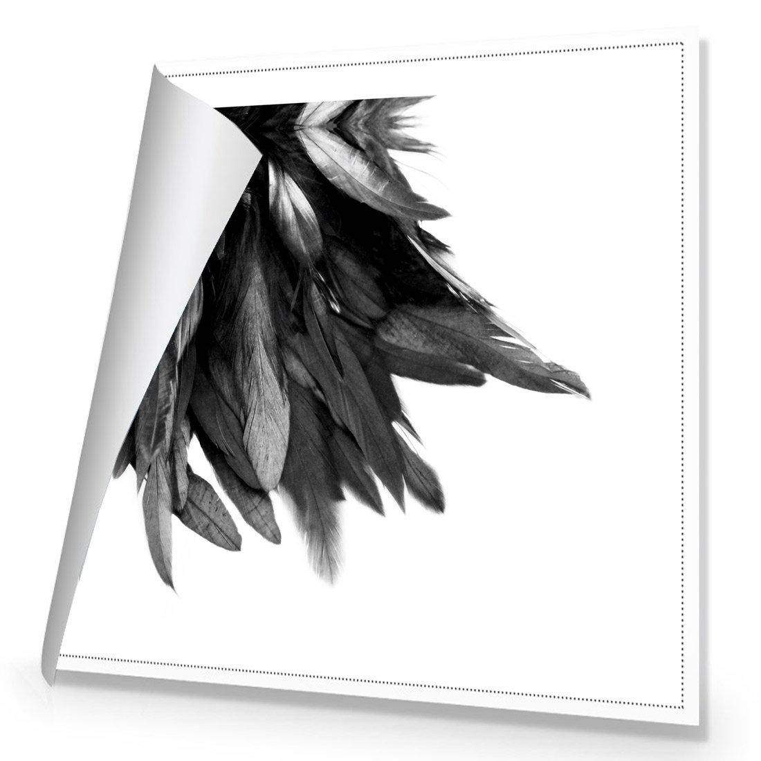 Black Feather Tail, B&W | Standard Canvas | No Frame | Rolled Canvas