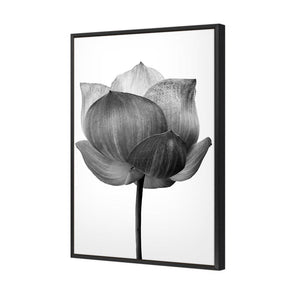 Black Lotus | Standard Canvas | Floating Frame | Black