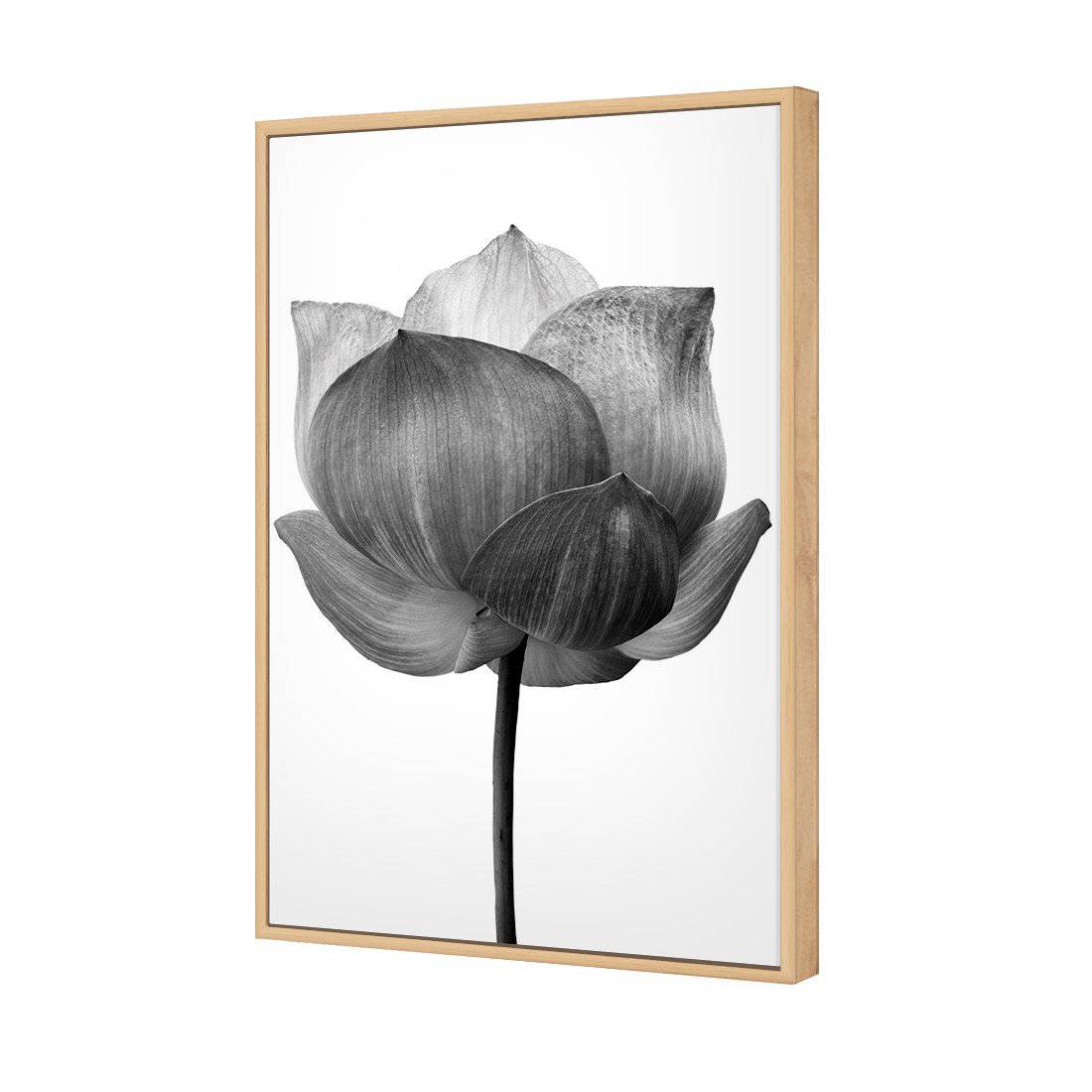 Black Lotus | Standard Canvas | Floating Frame | Oak