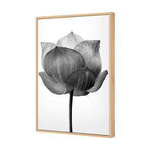 Black Lotus | Standard Canvas | Floating Frame | Oak