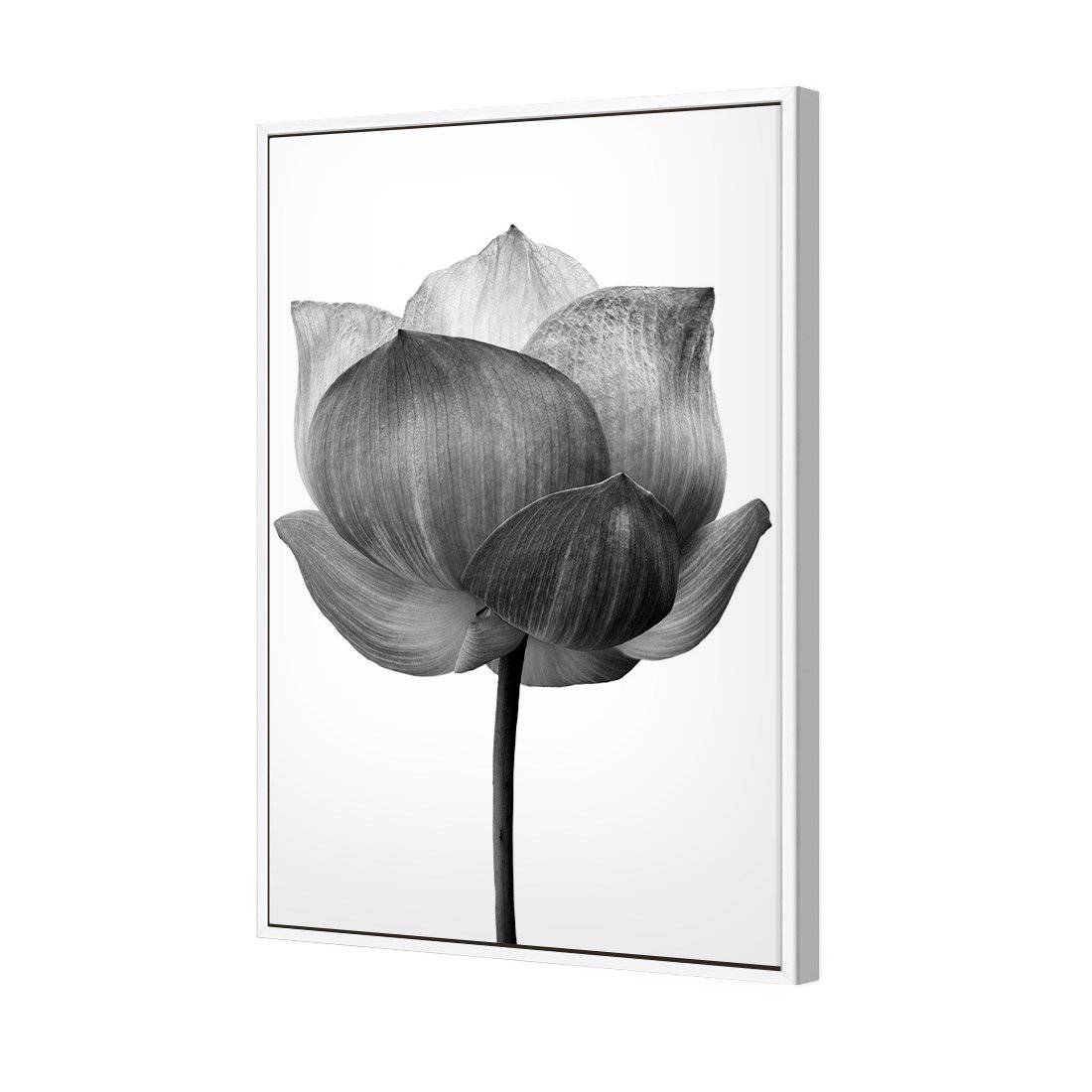 Black Lotus | Standard Canvas | Floating Frame | White