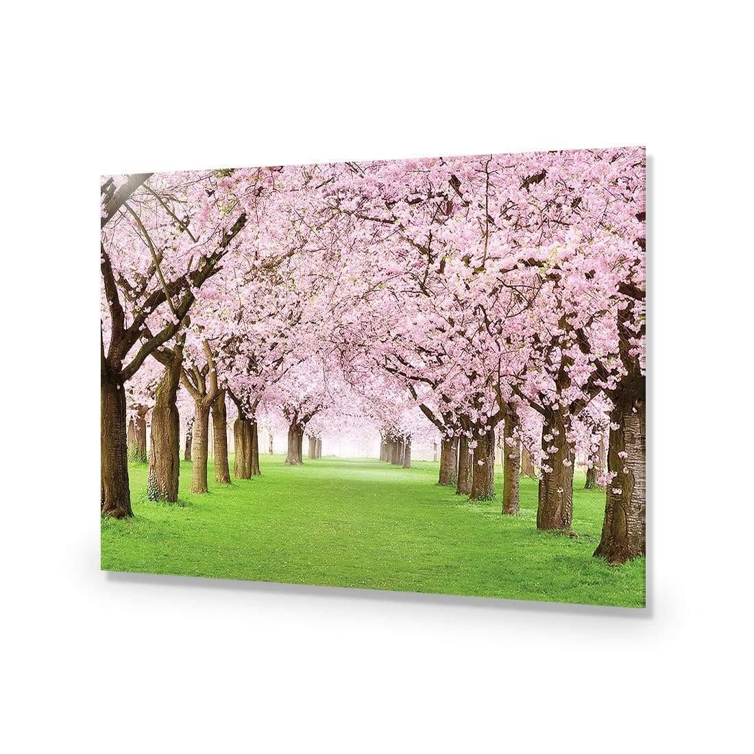 Blossom Parade - Wall Art Designs - 2213_AR_H WAD_AP - 030 - EDG_45x30_NONE