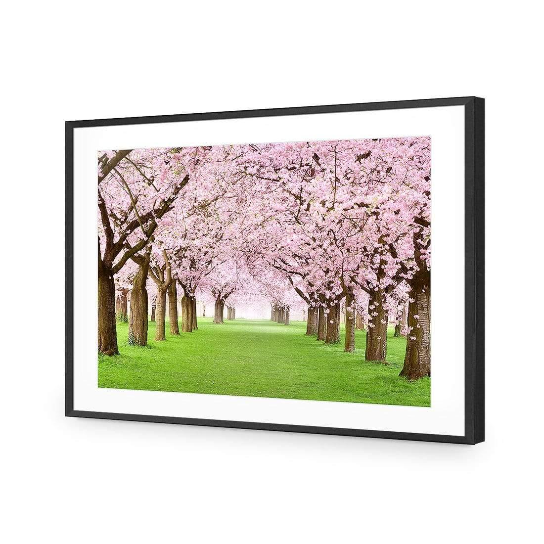 Blossom Parade - Wall Art Designs - 2213_AR_H WAD_AP - 030 - MAT_45x30_S - 2538 - BLK