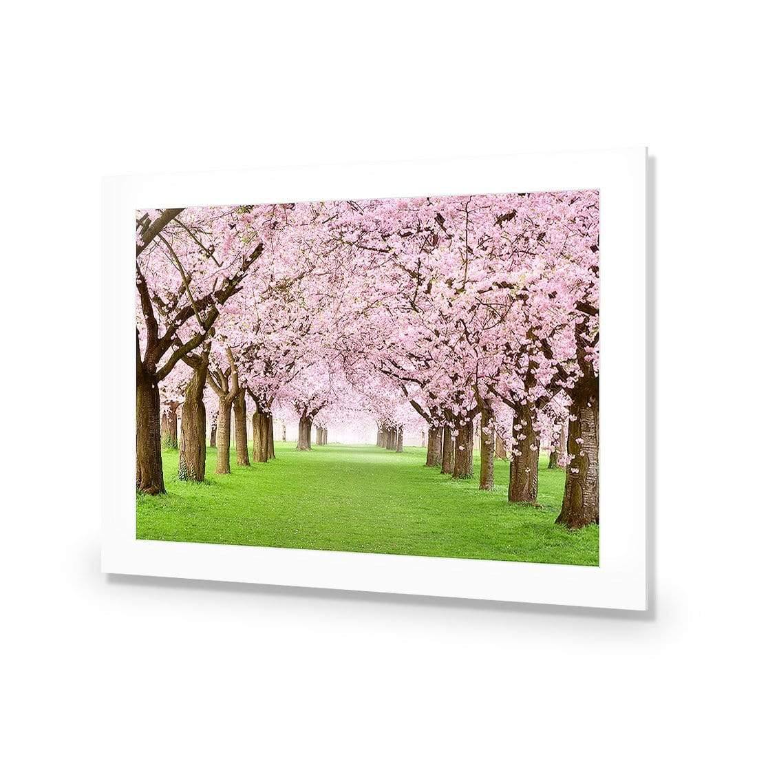 Blossom Parade - Wall Art Designs - 2213_AR_H WAD_AP - 030 - MAT_45x30_NONE