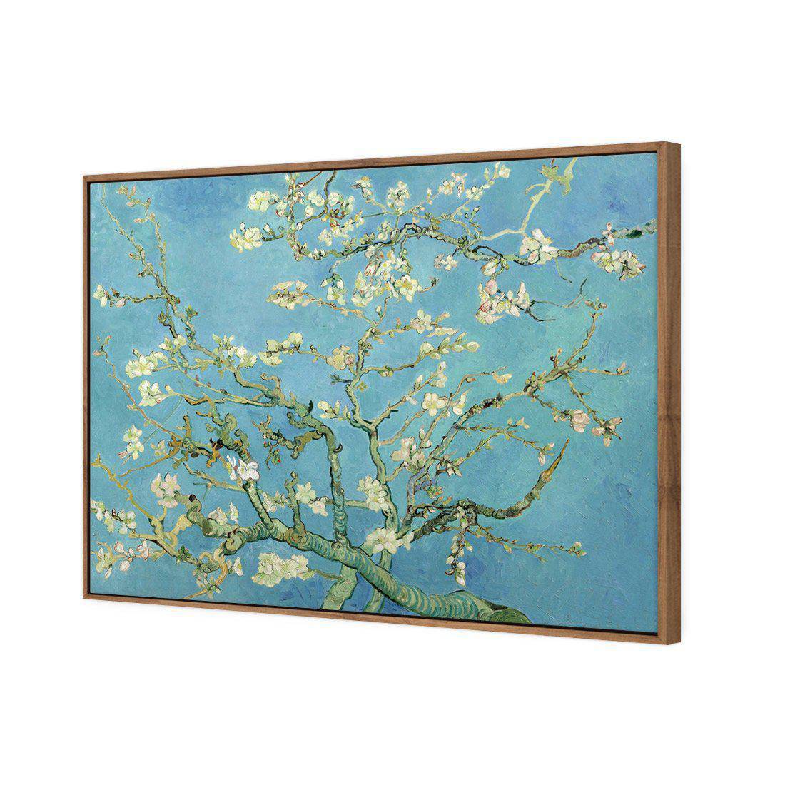 Blossoming Almond Tree by Van Gogh | Standard Canvas | Floating Frame | Natural