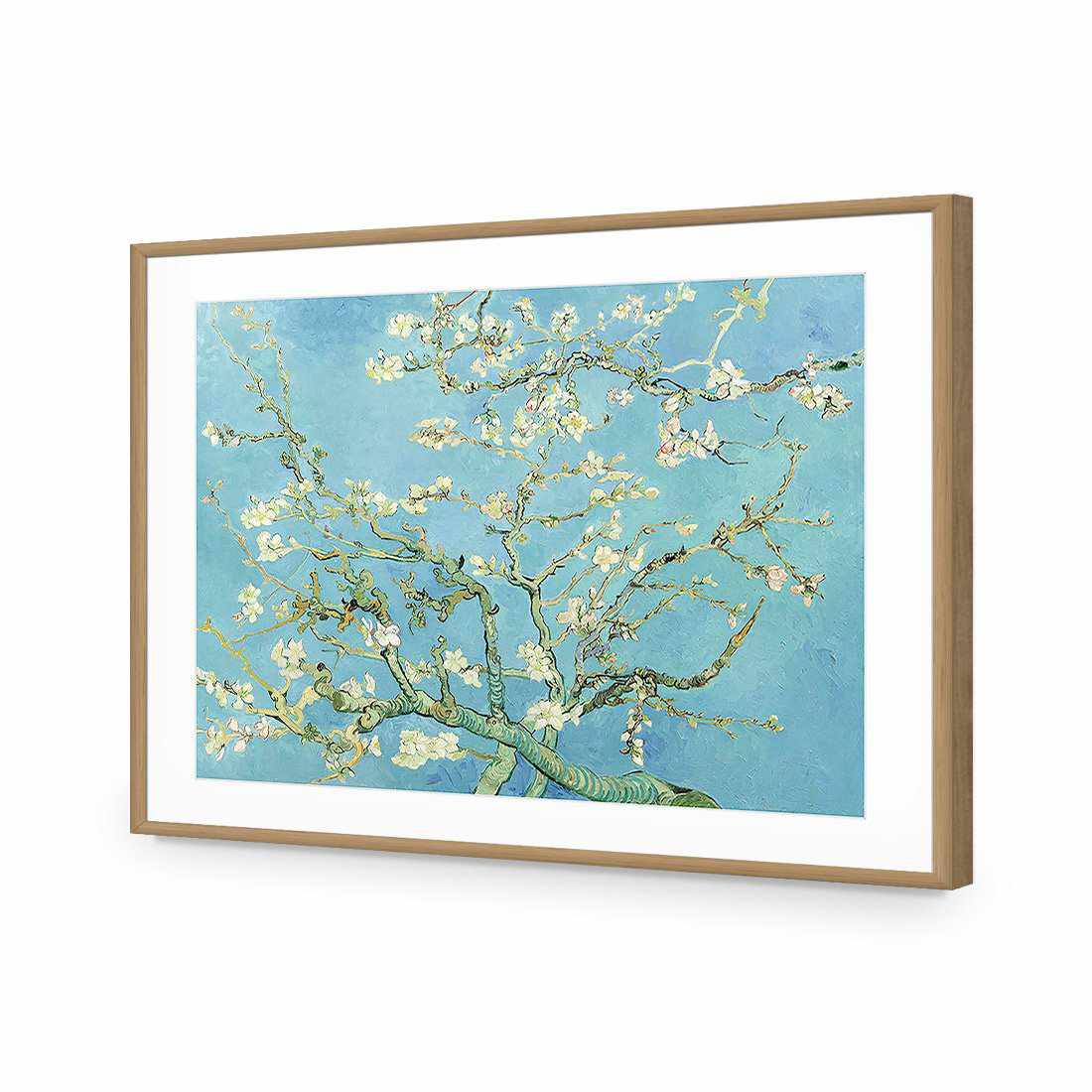 Blossoming Almond Tree by Van Gogh | Standard Acrylic | Flat Frame With Border | Oak