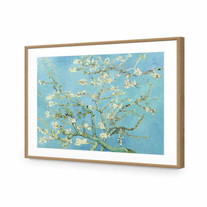 Blossoming Almond Tree by Van Gogh | Standard Acrylic | Flat Frame With Border | Oak